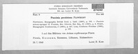Puccinia recondita image